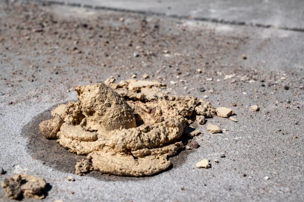 Cost of Driveway Slab Leveling in Saint Cloud